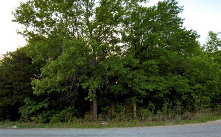 Pictures of Land property located at Bloomfield Road, Hendrix, OK 74741 for sales - image #1