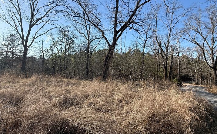 Pictures of Land property located at E 733 Road, Tahlequah, OK 74464 for sales - image #1