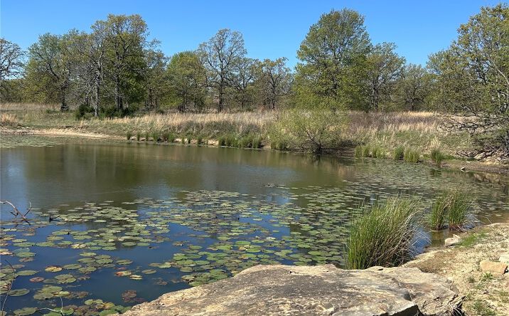 Pictures of Land property located at S 369th West Avenue, Mannford, OK 74044 for sales - image #1
