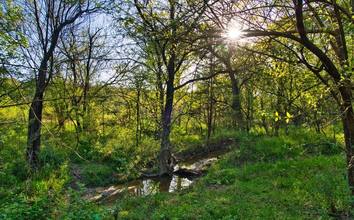 Pictures of Land property located at E 1860, Atoka, OK 74525 for sales - image #1