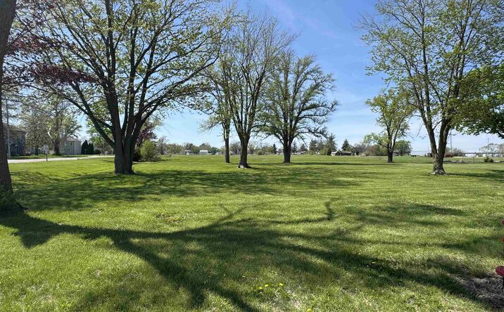 Pictures of Land, Special Purpose property located at 210 Louisiana Street, Middletown, IA 52638 for sales - image #1