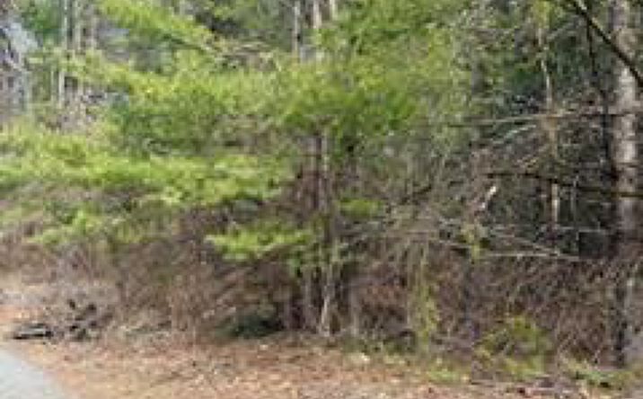Pictures of Land property located at 1304 Us Route 209, Deerpark, NY 12729 for sales - image #1