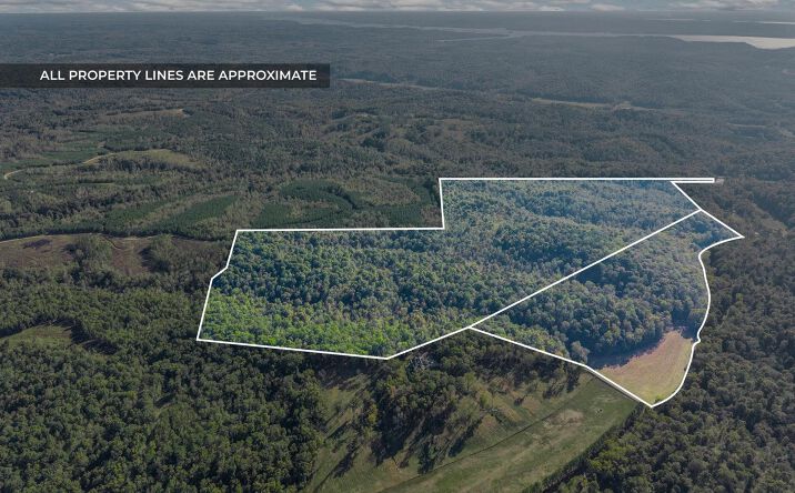 Pictures of Land property located at Cox Hollow, Dover, TN 37058 for sales - image #1