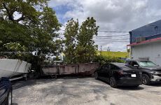31793341