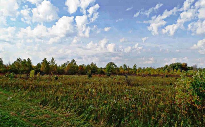 Pictures of Land property located at 9147 Corunna Road, Swartz Creek, MI 48473 for sales - image #1