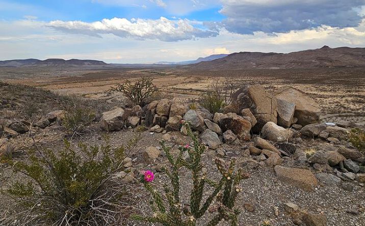 Pictures of Land property located at 9108 Rocking L Ranch Rd, Terlingua, TX 79852 for sales - image #1