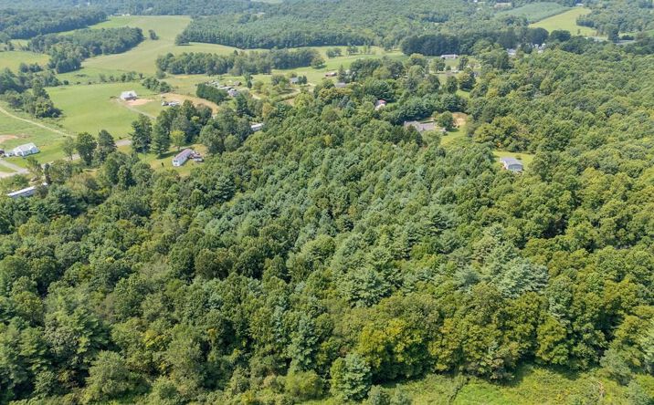 Pictures of Land, Multifamily property located at TBD Logans Lane, Galax, VA 24333 for sales - image #1
