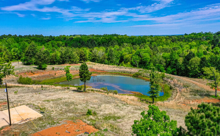 Pictures of Land property located at 11088 County Road 334, Tyler, TX 75708 for sales - image #1