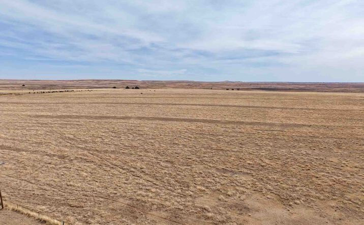 Pictures of Land property located at FM 48, Mobeetie, TX 79061 for sales - image #1