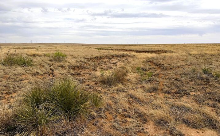 Pictures of Land property located at 000 County Road 41, Bledsoe, TX 79314 for sales - image #1