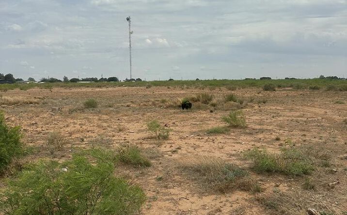 Pictures of Land property located at E County Rd 95, Midland, TX 79706 for sales - image #1