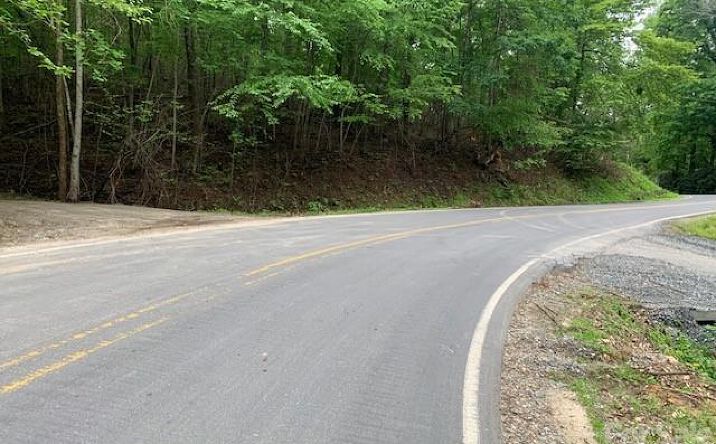 Pictures of Land property located at 42.16 acs green river cove road, Saluda, NC 28773 for sales - image #1