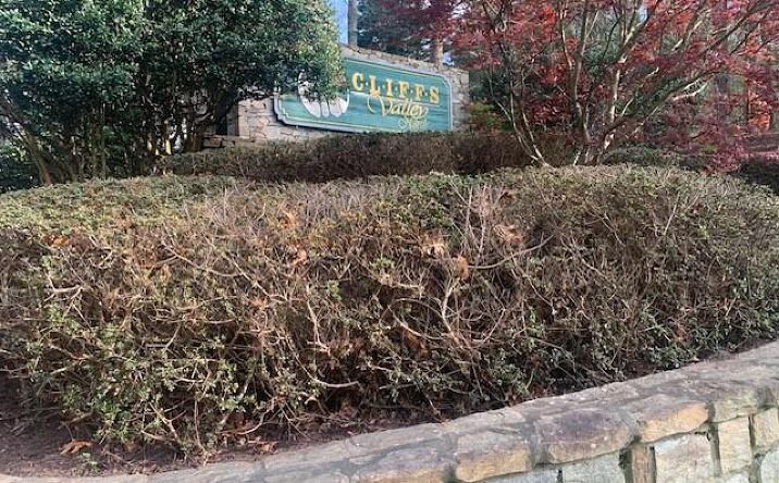 Pictures of Land property located at Mountain Summit Road #92, Zirconia, NC 28790 for sales - image #1
