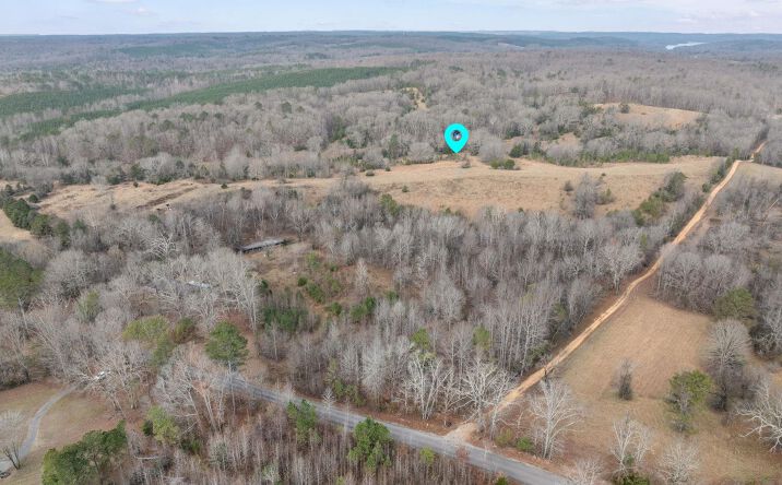 Pictures of Land property located at 00 Cotton Gin Rd, Littleville, AL 35653 for sales - image #1