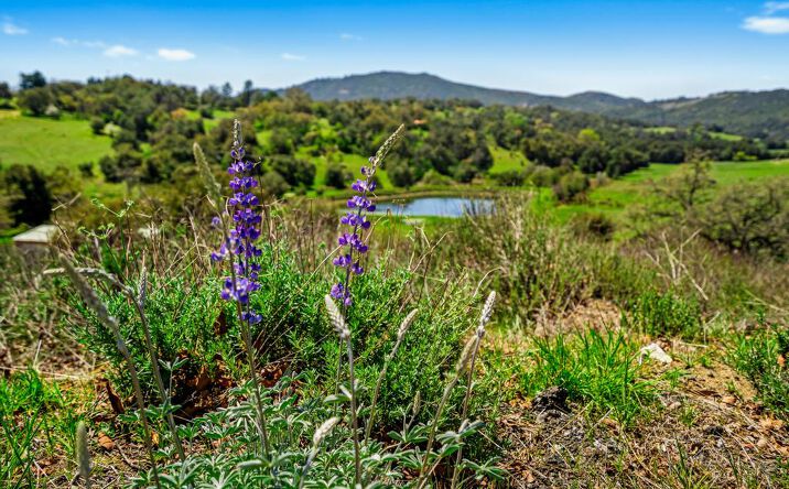 Pictures of Land property located at 25677 MESA GRANDE, SANTA YSABEL, CA 92036 for sales - image #1