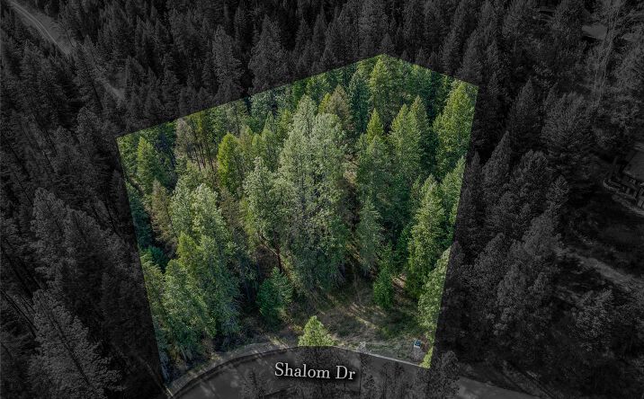 Pictures of Land property located at NHN Shalom Drive, Libby, MT 59923 for sales - image #1