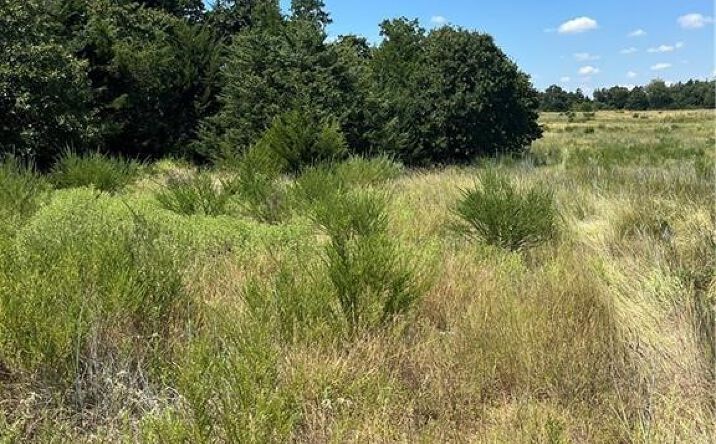 Pictures of Land property located at Range Road, Stillwater, OK 74075 for sales - image #1