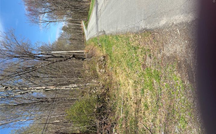 Pictures of Land property located at 209 Stream Hollow, Fallsburg, NY 12428 for sales - image #1