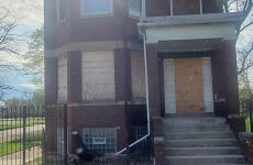 31813699