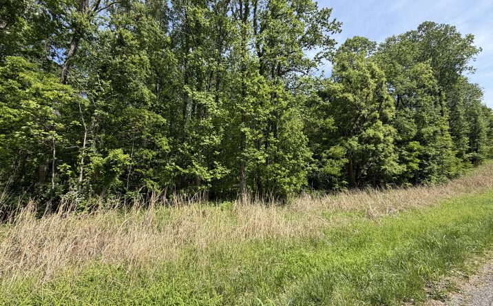 Pictures of Land property located at Tower Rock Road, Elizabethtown, IL 62931 for sales - image #1