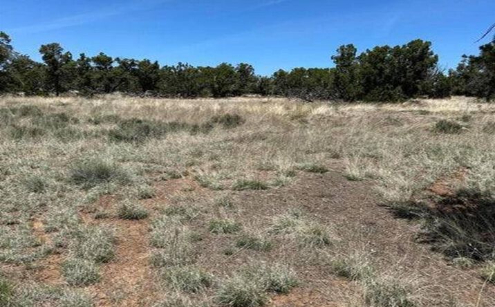 Pictures of Land property located at 2 Rabbit Circle, Pie Town, NM 87827-0000 for sales - image #1