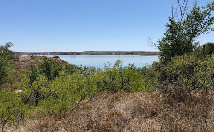 Pictures of Land property located at 108 Ute Drive, Logan, NM 88426 for sales - image #1