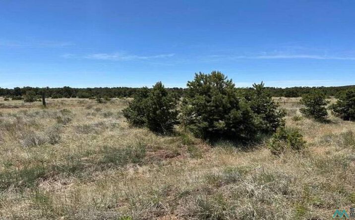 Pictures of Land property located at 55 Elk Trail, Pie Town, NM 87827-0000 for sales - image #1