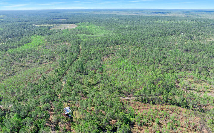 Pictures of Land property located at Carter Street, Bunnell, FL 32110 for sales - image #1