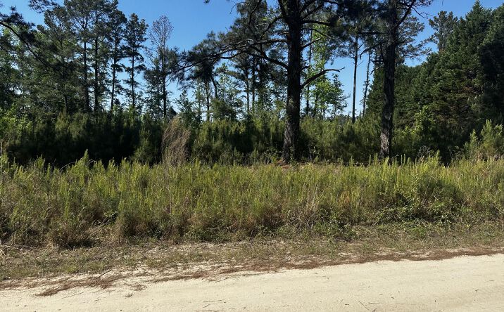 4360 Livingwood Lane, Sumter