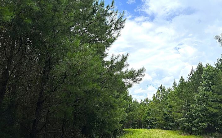 Pictures of Land property located at 0 Denver Road, Dadeville, AL 36853 for sales - image #1