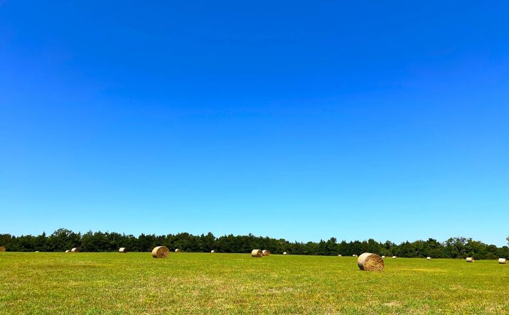 Pictures of Land property located at 880 Wasden Road, Hope Hull, AL 36043 for sales - image #1