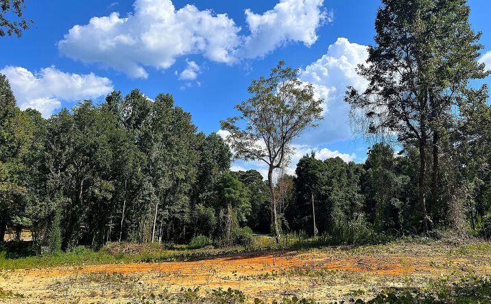 Pictures of Land property located at 0 Red Hill Rd, Eclectic, AL 36024 for sales - image #1