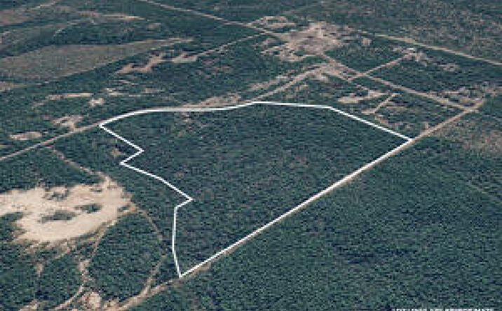 Pictures of Land property located at 287 High Lonesome Road, DeFuniak Springs, FL 32435 for sales - image #1