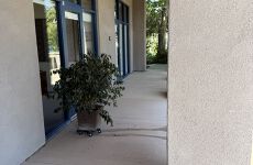 31822745