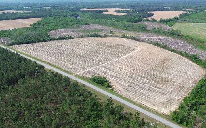 Pictures of Land property located at 4 Bunn Store Rd, Midville, GA 30441 for sales - image #1
