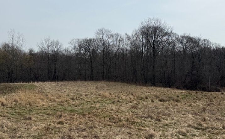 Pictures of Land property located at S MADISON RD, MADISON, OH 44057 for sales - image #1