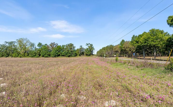 Pictures of Land property located at NW 150th St, Trenton, FL 32693 for sales - image #1
