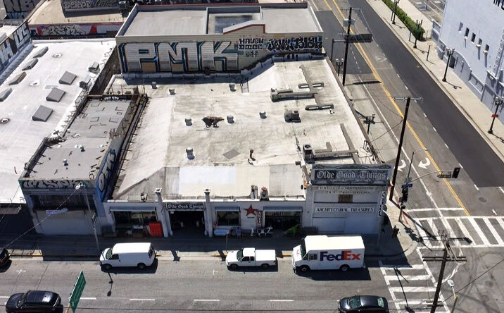 Pictures of Retail, Industrial property located at 1800 South Grand Avenue, Los Angeles, CA 90015 for sales - image #1