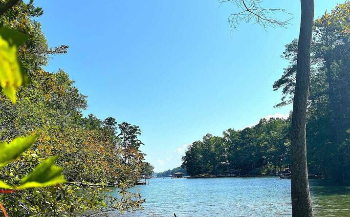 Pictures of Land property located at Cagles Cove Road, Eclectic, AL 36024 for sales - image #1