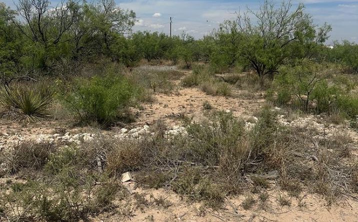 Pictures of Land property located at W County Rd 179, Odessa, TX 79766 for sales - image #1