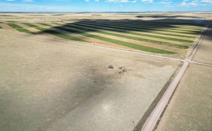 Pictures of Land property located at TBD County Rd 132, Grover, CO 80729 for sales - image #1