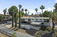 31837539