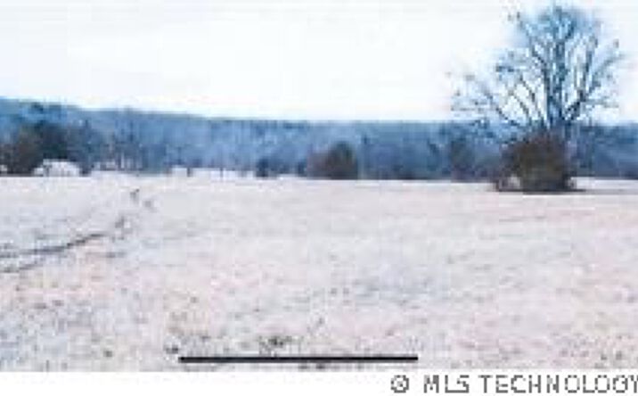 Pictures of Land property located at 600 Paw Paw, Roland, OK 74954 for sales - image #1