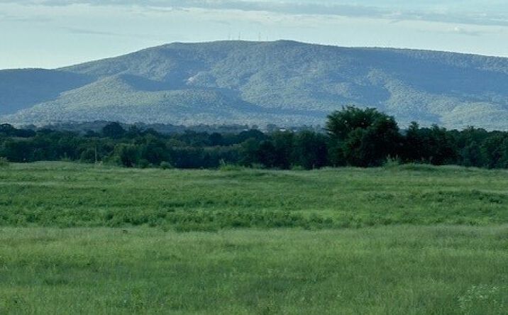 Pictures of Land property located at Rock Jail, Panama, OK 74951 for sales - image #1
