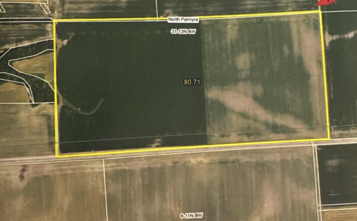 Pictures of Land property located at PALMYRA Road, Palmyra, IL 62674 for sales - image #1