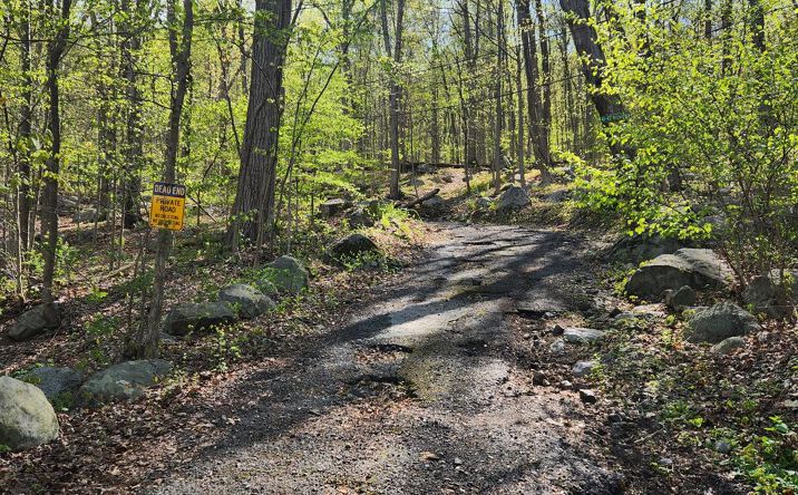 Pictures of Land property located at 19 Brandt Road, Ramapo, NY 10931 for sales - image #1