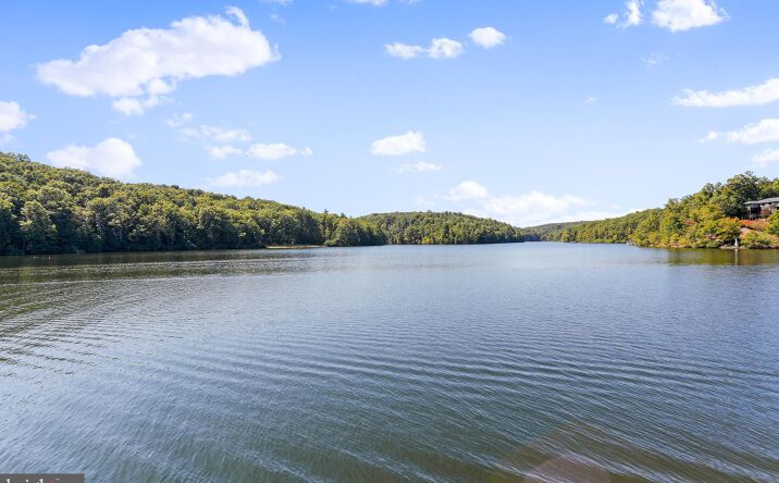 Pictures of Retail, Land property located at Lot 25 Forest Drive, Cross Junction, VA 22637 for sales - image #1