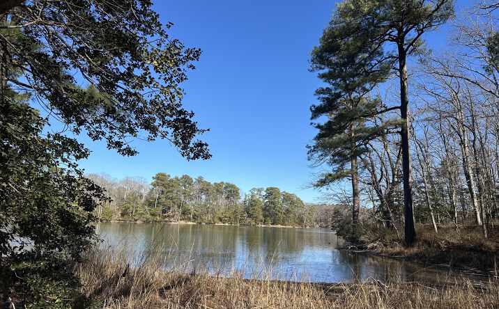 Pictures of Land property located at 00 Taylors Beach Rd, Reedville, VA 22539 for sales - image #1