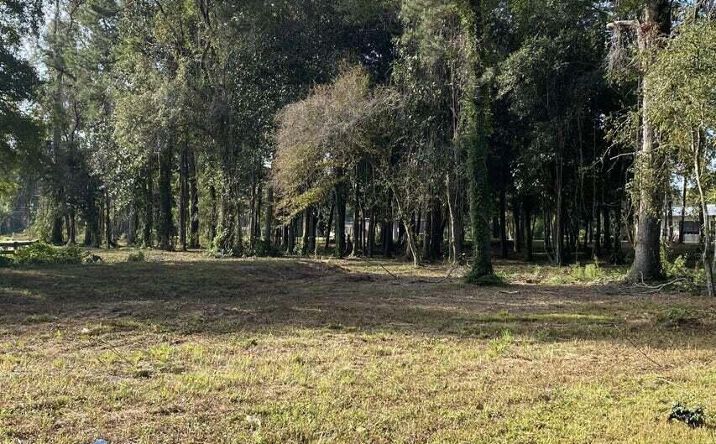 Pictures of Land property located at 0 Old State Rd, Holly Hill, SC 29059 for sales - image #1