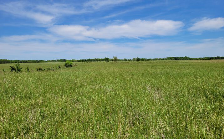 Pictures of Land property located at 110 Private Road 7316, Clarksville, TX 75426 for sales - image #1